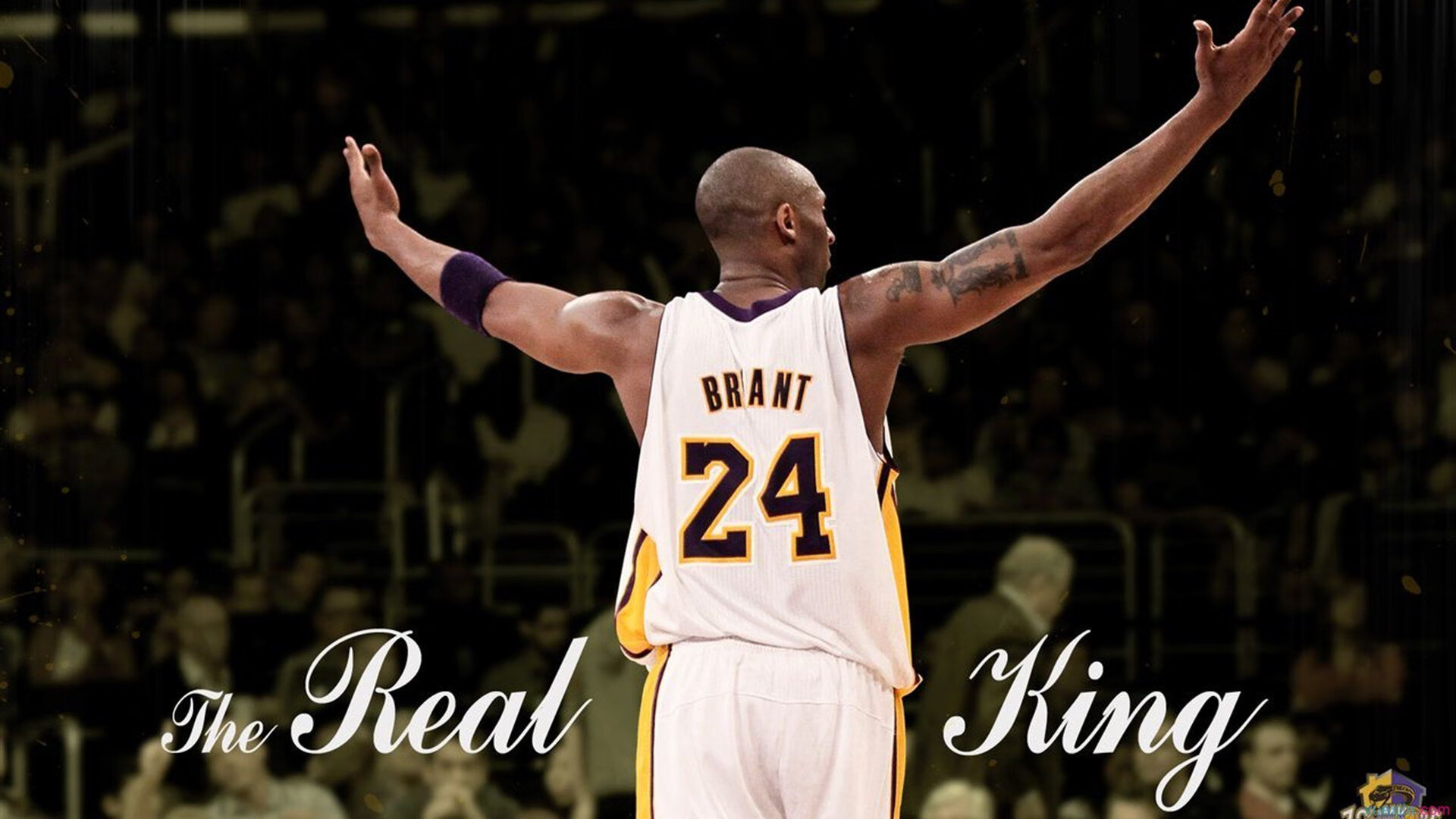 “帕布罗·马特拉的传球与进攻能力,打破美洲狮队防守和进攻的界限”